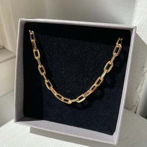 Guldigt halsband - Ett guldigt halsband som är helt nytt, har endast testat men kändes inte som mig så därför jag säljer det🌸