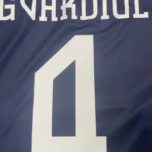 Jag säljer en joskõ gvardiol fotbollströja storlek L, kroatien borta tröja 2022-2024