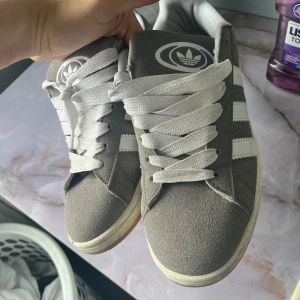 campuss adidas - sheos size 43