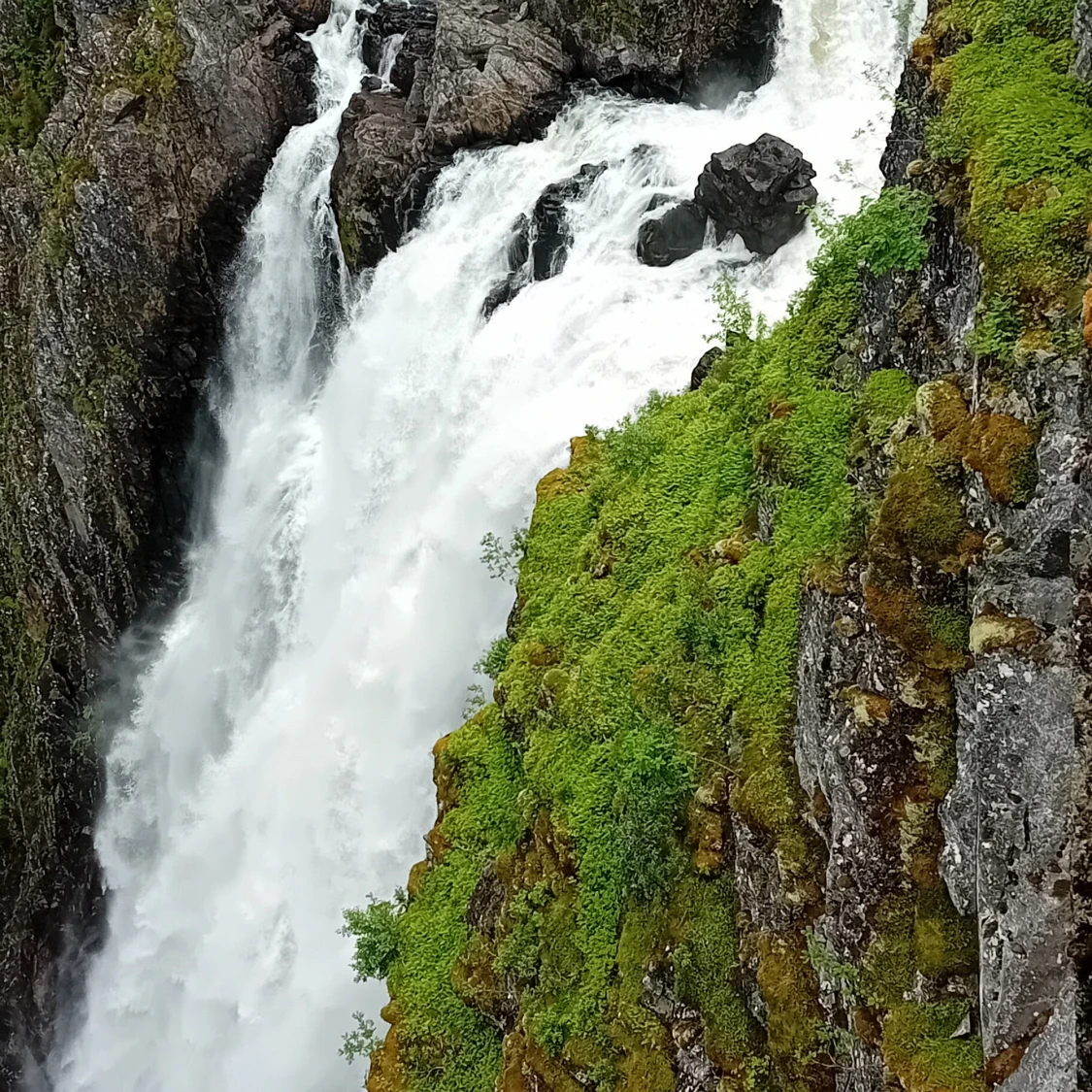 Bilder på en vacker vattenfall - 90