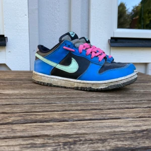 Dunks  - Säljer ett par låga dunks