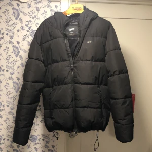 Svart Pull&Bear vinterjacka - Storlek M, det är bra skick bara lite skrapad vid dragkedjan, har använt den max 5 gånger. Skriv till mig för mer info.