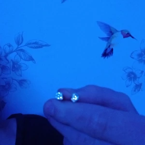 Örhängen me vita diamanter  - Säljer då jag bara använder hängande örhängen!