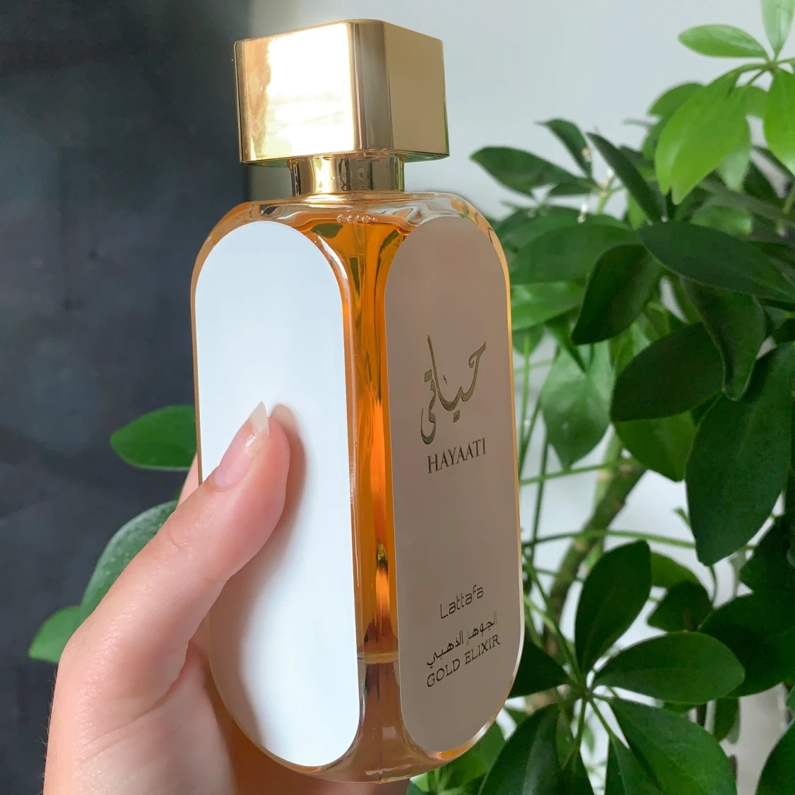 Hayati gold elexir - 91