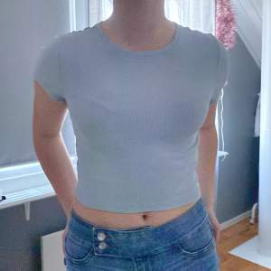 A blue crop top from FSBN SISTER, only used a few times is in good condition 