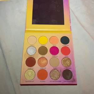 Kombucha Kiss Ögonskuggs Palett - använd i bra skick 