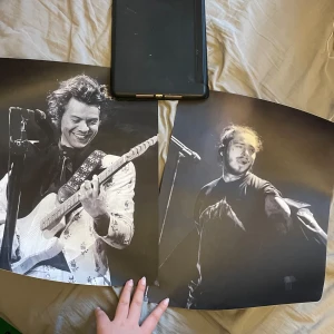 2 posters - Säljer båda dessa posters för 100 kr+ frakt med Harry Styles och Post Malone💗 nyskick! 