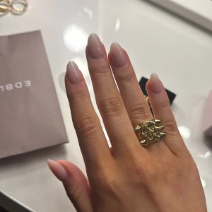 Edblad nitring  - Säljer min ring ifrån Edblad dö den inte kommer till användning🩷 Sparsamt använd, är som ny💞 nypris:400kr