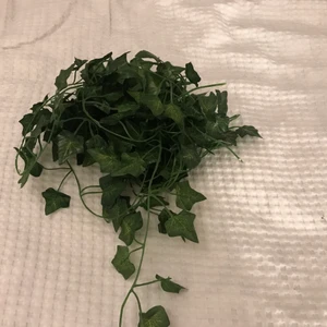 Vines - Tre långa plast växter som säljs. Köparen står för frakten och får se hur mycket den kommer bli men tror att den kommer kosta 12 kr eller 24 vet inte fören sen. Det vita är bara lite häftmassa som jag använt det till
