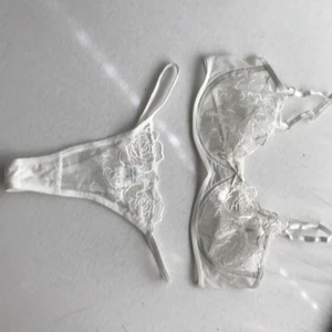 Underkläder - Säljer detta underbara underklädessätt från shein, då det var en present, men gavs aldrig bort. Har själv provat överdelen och skulle säga att den passar någon med B kupor bättre:) Priset kan diskuteras☺️