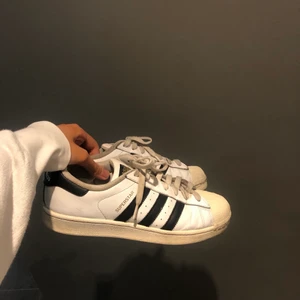 Adidas Superstar - Säljer dessa i storlek 42 (killskor) för ett bra pris då dem eventuellt skulle behöva tvättas en gång innan man använder dem.