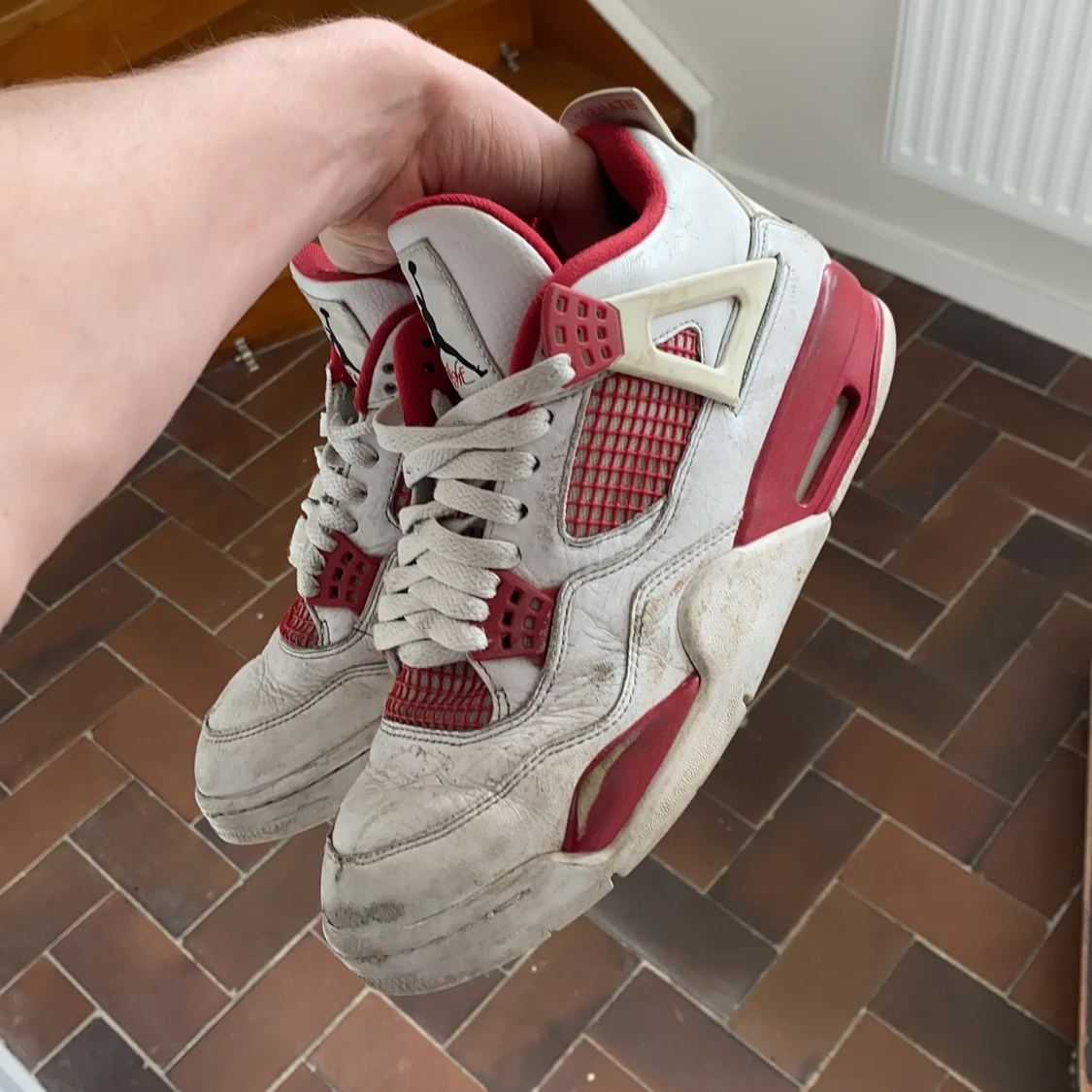 Jordan 4 alternate 89