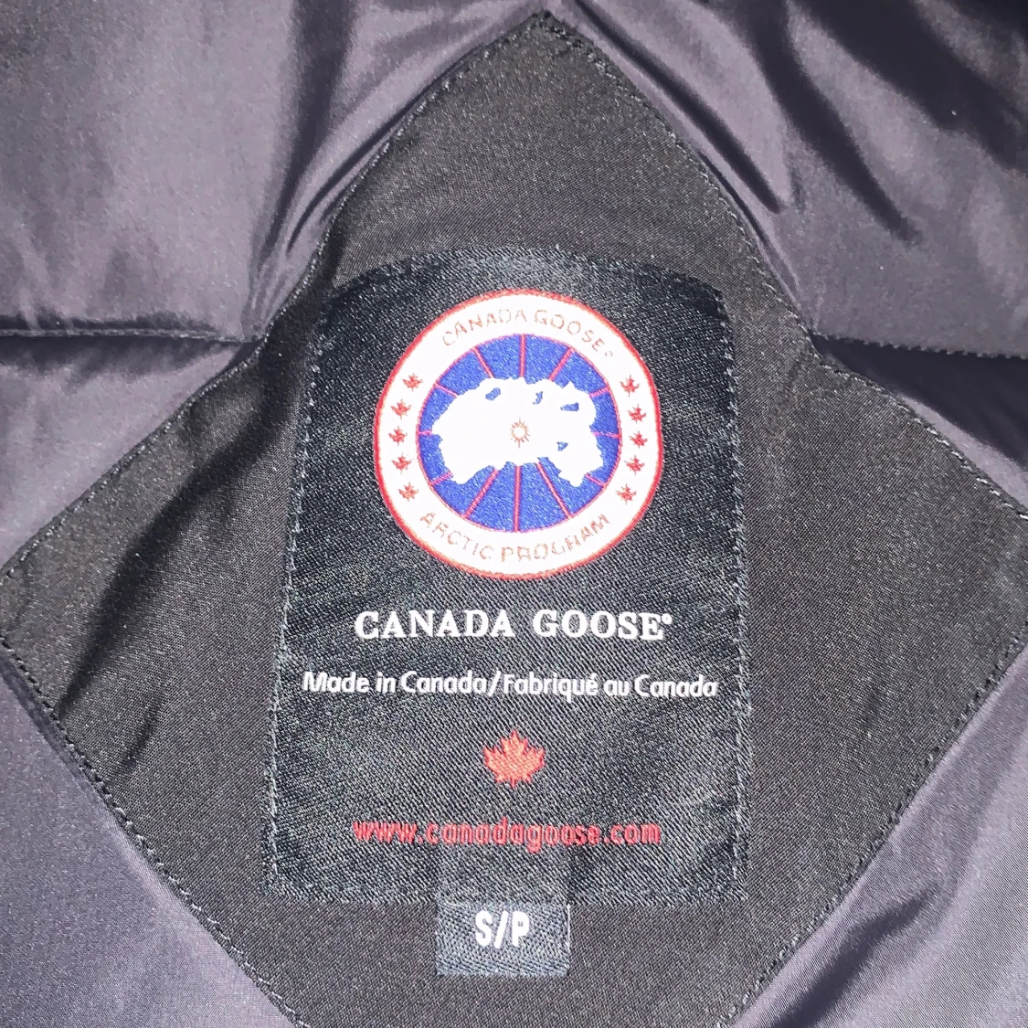 Canada goose  - 90