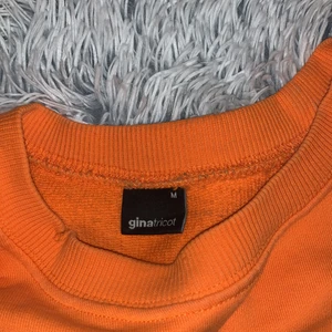 Tiger tröja  - Den är väldigt lagom i storlek och inte använd mer än 7 gånger. 