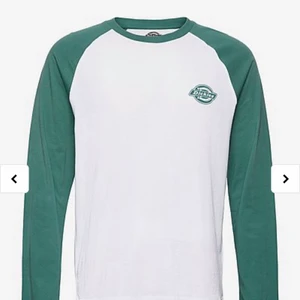 Dickies tröja  - Andvänt några fåtal gånger,Säljer pågrund av att den inte kommer till andvänding💓 