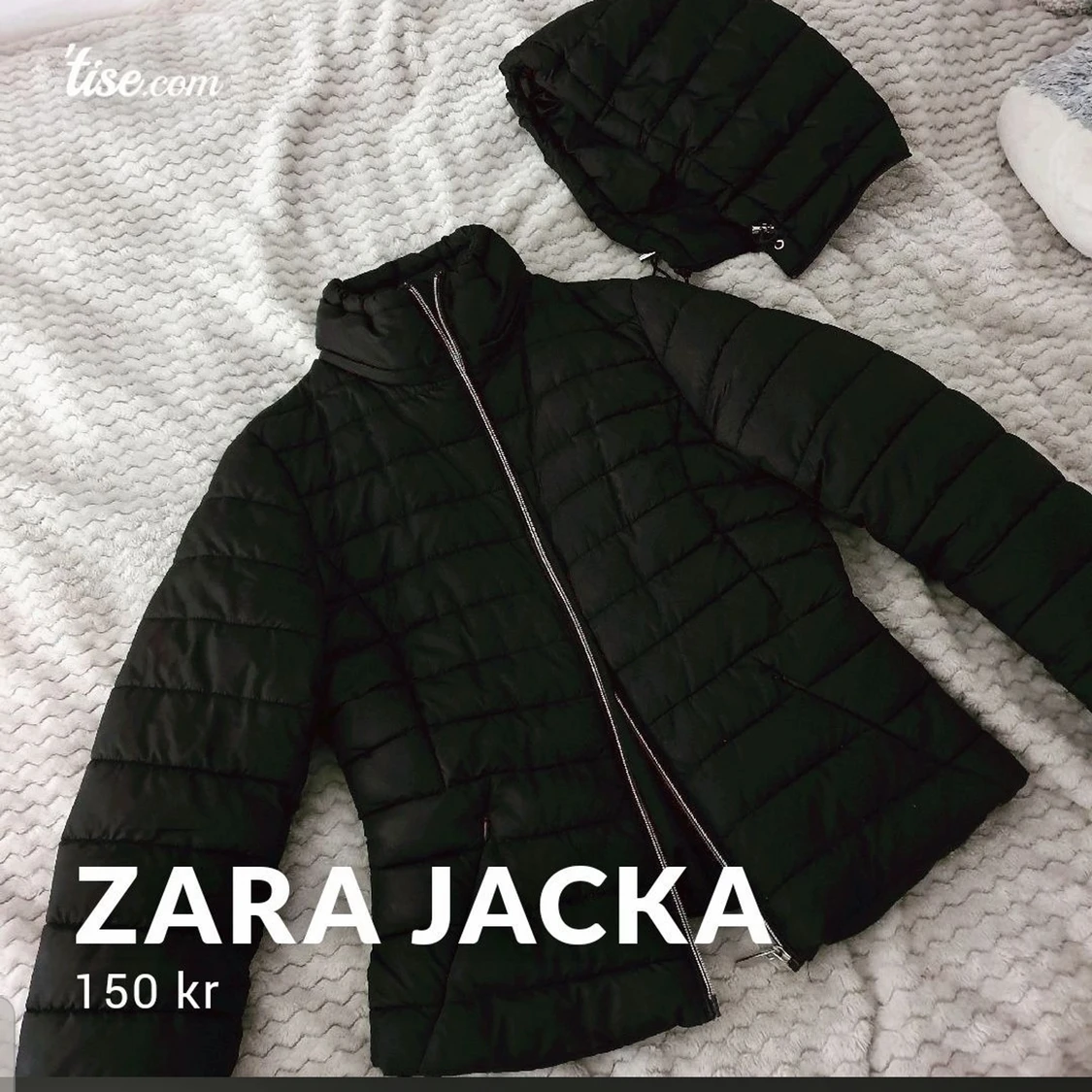 Zara jacka
