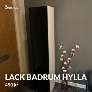 Badrum hylla - Badrum hylla i färg lack svart. Kan hängas upp. Två dörrar.