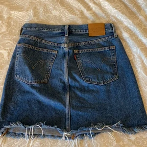 Lewis kjol - En Lewis kjol som är använd Max 3 gånger så helt ny skulle man kunna säga. Eftersom den nästan aldrig är använd så har den heller inte några synliga tecken på användning.