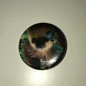 Sengångare pin🦥 - Pin, ca 5 cm. 15kr