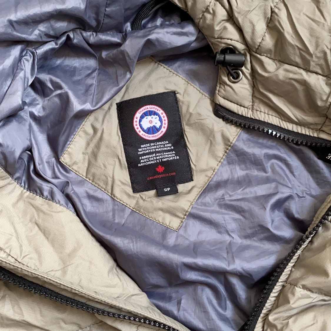 Canada goose - 90