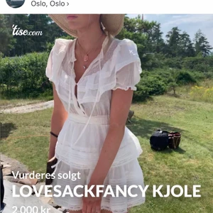 Love sack fancy  - My love sack fancy dress is to small so i have to sell it               Size XS its an old model from lovesackfancy