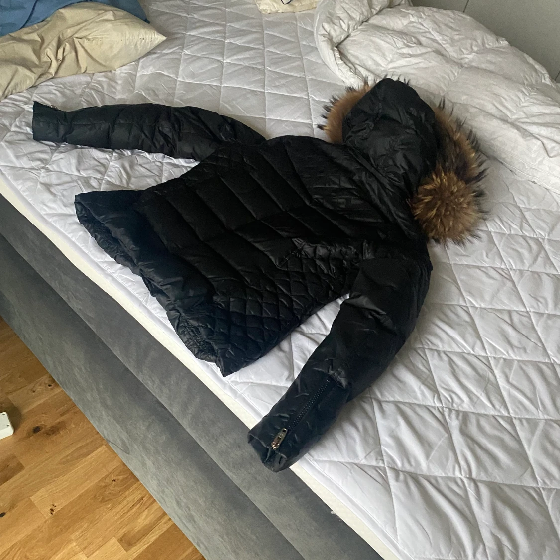 Rock and blue jacka  - 91