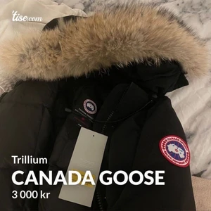 Canada Goose  -    Äkta, använd ett fåtal gånger, inga defekter alls, köpt på jonhells, bortslarvat kvitto, kan byta mot parajumpers longbear eller anan modell av canada goose