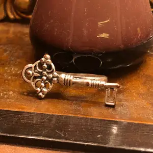 En ring med en nyckel på som man kan ha på två fingrar. Köpt på facebook marketplace. Lite misfärgad 