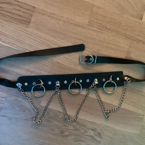 alternativ skärp - väldigt snygg, säljer pga att den är för stor för mig :(