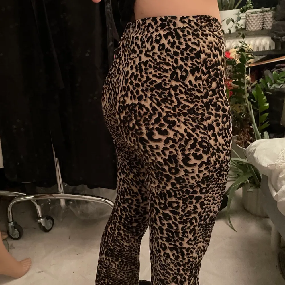 Säljer mina super snygga leopard tights!! Dom är utsvängda och stretchiga, i jättebra skick! Kommer bara inte till användning längre<3 jag är 160 och skulle säga att dom är ganska perfekt längd på mig.. Jeans & Byxor.