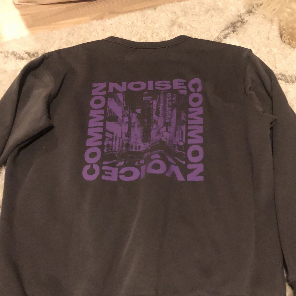 Grå tröja med tryck  - 90