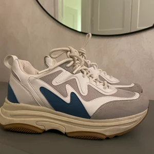 Skor  - Säljer dessa snygga skor i bra skick. 