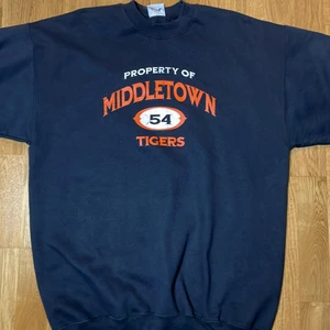 Vintage crewneck  - Vintage crewneck. Tröja är i bra skick förutom lite skador på LOggorna. Kolla gärna min profil för fler annonser 