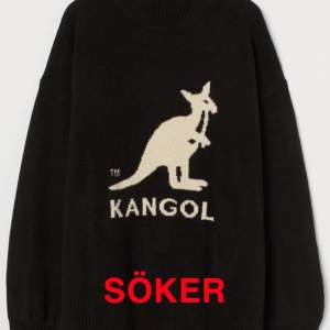 Söker denna stickade tröja (Kangol X H&M) i någon storlek mellan L och XL. Hör av dig om du äger en så kan priset diskuteras varefter!
