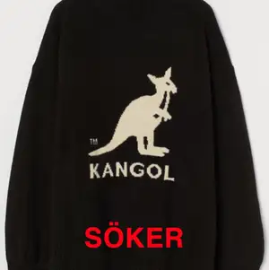 Söker denna stickade tröja (Kangol X H&M) i någon storlek mellan L och XL. Hör av dig om du äger en så kan priset diskuteras varefter!