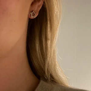 Örhängen - Silvriga stjärn örhängen