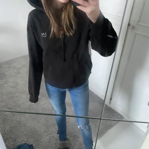 Hov1 hoodie  - ”Gudarna på Västerbron” hoodie,  har en liten fläck som ej går bort tror de är typ falu röd färg eller något sånt men det är inget man ser när man har på sig den. Säljer för 300, men kan sänka priset.