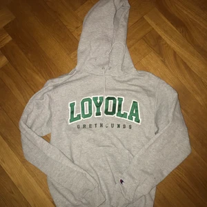 grå hoodie - säljer min gråa hoodie som jag köpte på beyond retro. Står att den är från Champion. OBS!!! MÅNGA INTRESSERADE BUDA I KOMMENTARERAN💓                                                      Budgivningen avslutas på fredag den 2 april❤️