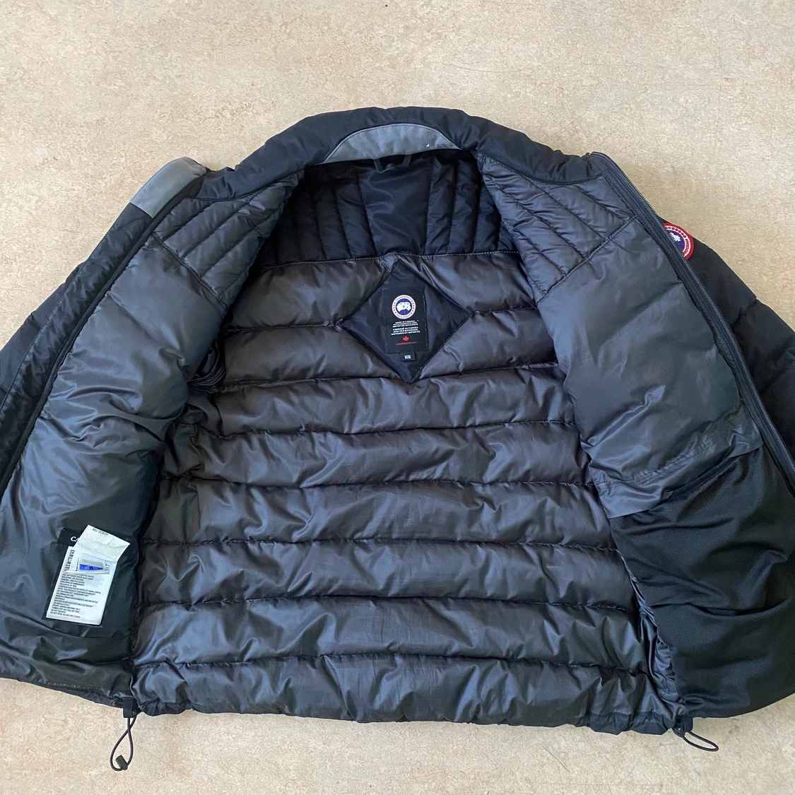 Canada goose - 91