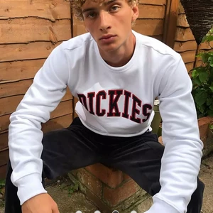 Dickies sweatshirt  - Säljer denna dickies sweatshirten som inte kommer till användning längre. Första bilden är lånad, andra bilden är hur den sitter på mig. Tyvärr har den några små fläckar (har dock inte testat att ta bort dem så kan gå och fixa), men inget man riktigt tänker på då de är små och de på armen är på underarmen. Kontakta privat för frågor❤️ 
