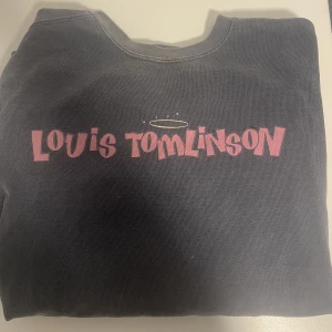 Louis Tomlinson - Inte officiel merch, köpt pa etsy for lange sedan. Saljer da jag ej lyssnar pa honom längre. Knappt använd. Det är en sweatshirt 💕 köparen star för frakt🥂