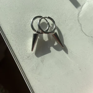 Spikörhängen - Säjer mina fina spikörhängen! Från edblad. Använda fåtal gånger, inga tecken på användning!! Kartong medföljer. Nypris 400kr. Frakt = 13kr