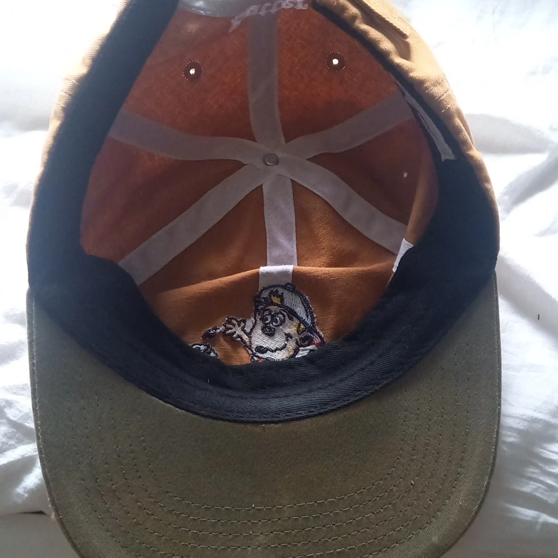 Butter goods dice 6 pannel cap tam/forest green - 91