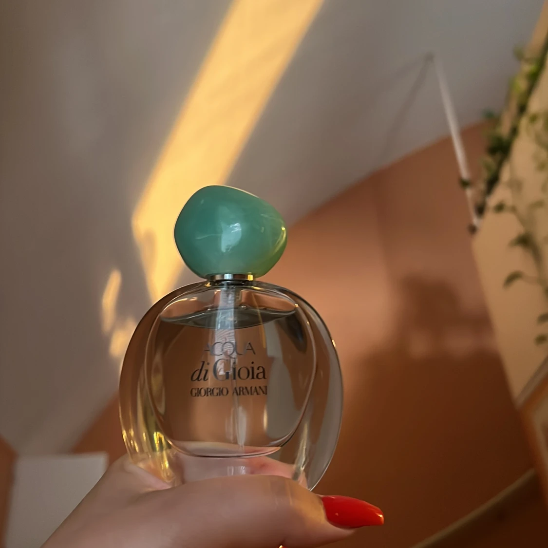 Acqua di Gioia
