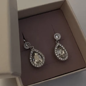 Lily&Rose örhängen - Superfina helt nya silvriga örhängen från Lily & Rosé💞