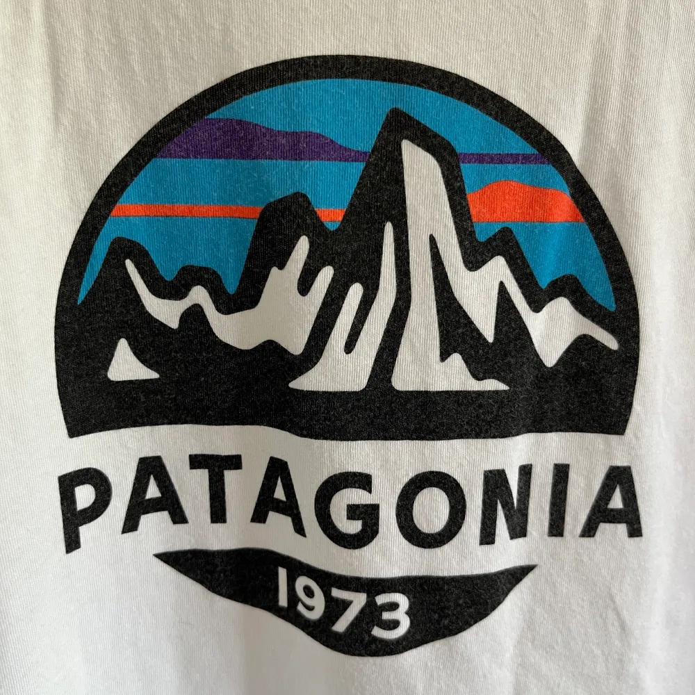 Patagonia T-shirt i använt men bra skick! Passform slim fit . T-shirts.