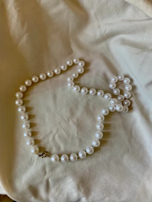 Pärlhalsband  - Superfint pärlhalsband som tyvärr inte kommer till användning 🤍