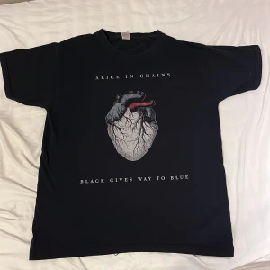 Alice in chains band t-shirt - Black gives way to blue tröja, Alice in chains. Storlek M i bra skick.  Priset kan diskuteras :)