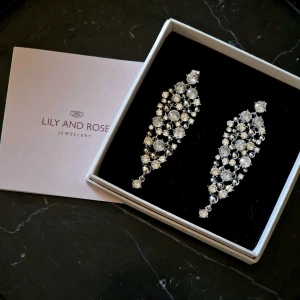 Magnifika örhängen från Lily and Rose (OVANLIGA) - Säljer dessa magnifika eleganta örhängen från fantastiska Lily and Rose. De säljs inte längre och är därför ovanliga i sin utformning och stil. Grunden är i färgen silver och stenarna går i både blått och vitt. Passar både till vardag och fest.