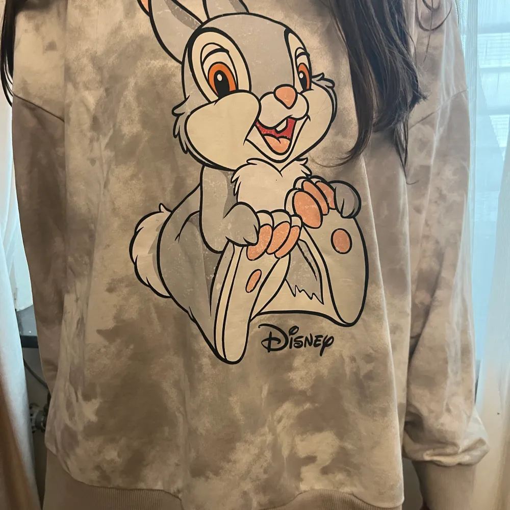 Disney tröja från LC wakiki. Använd 1 gång. Hoodies.